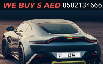 How to buy special number plates in Dubai