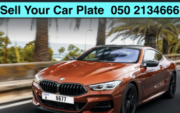 Special plate Buy and sell Dubai