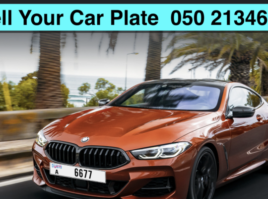 Special plate Buy and sell Dubai