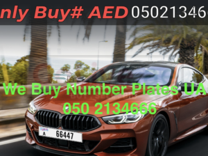 VIP Car Plates Buyer in Dubai