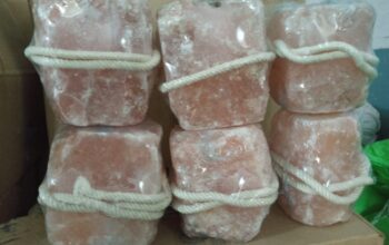 Salt licks for zoo animals ( Order natural salt blocks for animals in Sharjah )