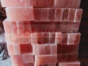 Wildlife salt licks for deer ( Suppliers of Himalayan salt licks in UAE )