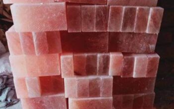 Wildlife salt licks for deer ( Suppliers of Himalayan salt licks in UAE )