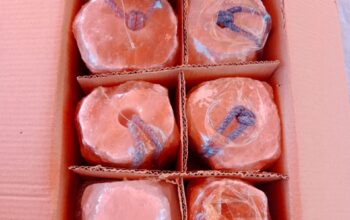 Salt licks for zoo animals ( Order natural salt blocks for animals in Saudi Arabia )