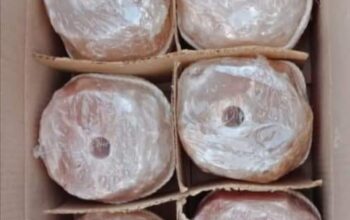 Natural-cut Himalayan salt rocks in ABU DHABI ( Pink salt blocks for livestock )