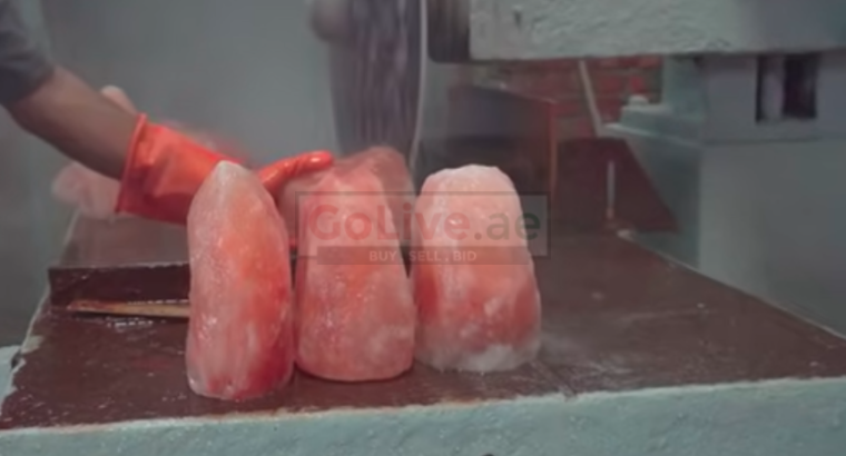 Wildlife salt licks for deer ( Suppliers of Himalayan salt licks in UMM AL QUWAIN )