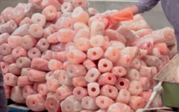 Organic salt licks for animals ( Himalayan salt licks for animals in QATAR )