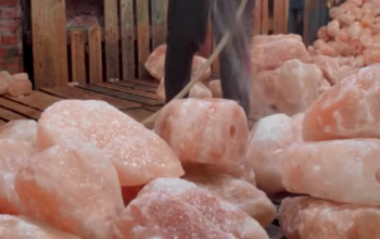 Natural salt licks for animal ( Salt licks for farm animals in SAUDI ARABIA )