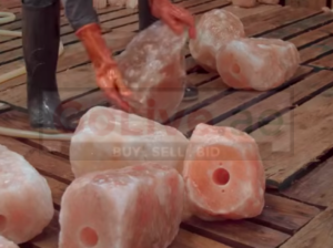 Natural salt licks for animal ( Salt licks for farm animals in OMAN )