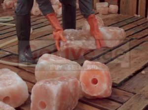 Organic salt licks for animals ( Himalayan salt licks for animals in AL AIN )