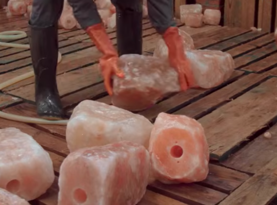 Organic salt licks for animals ( Himalayan salt licks for animals in AL AIN )