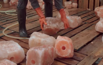 Organic salt licks for animals ( Himalayan salt licks for animals in AJMAN )