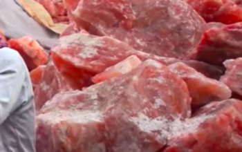 Natural salt licks for animal ( Salt licks for farm animals in SHARJAH )