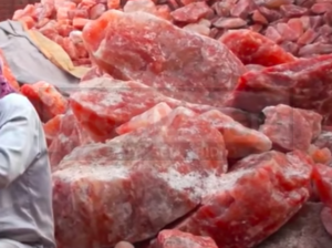 Salt licks for zoo animals ( Order natural salt blocks for animals in Dubai )