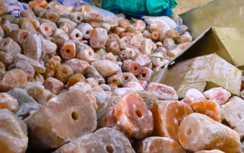 Natural salt licks for animal ( Salt licks for farm animals in UMM AL QUWAIN )