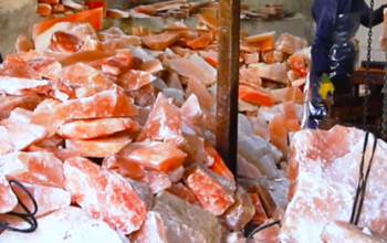 Organic salt licks for animals ( Himalayan salt licks for animals in ABU DHABI )