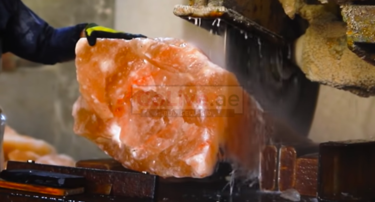 Salt licks for goats and sheep ( Salt licks for livestock in ABU DHABI )