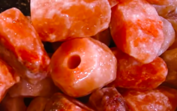 Organic salt licks for animals ( Himalayan salt licks for animals in SAUDI ARABIA )