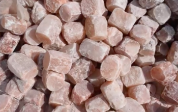 Wildlife salt licks for deer ( Suppliers of Himalayan salt licks in RAS AL KHAIMAH )