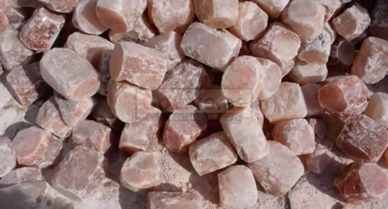Wildlife salt licks for deer ( Suppliers of Himalayan salt licks in SHARJAH )