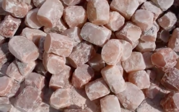 Wildlife salt licks for deer ( Suppliers of Himalayan salt licks in BAHRAIN )