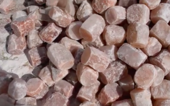 Durable salt blocks for livestock ( Pink rock salt for animals in FUJAIRAH )