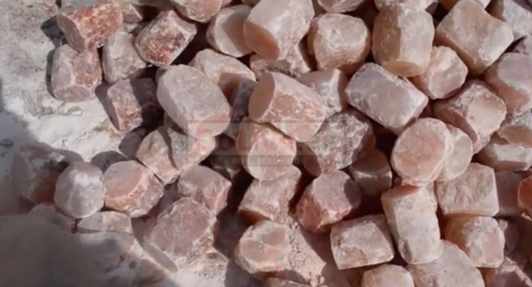 Salt licks for goats and sheep ( Salt licks for livestock in KUWAIT )