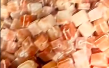 Salt licks for zoo animals ( Order natural salt blocks for animals in UAE )