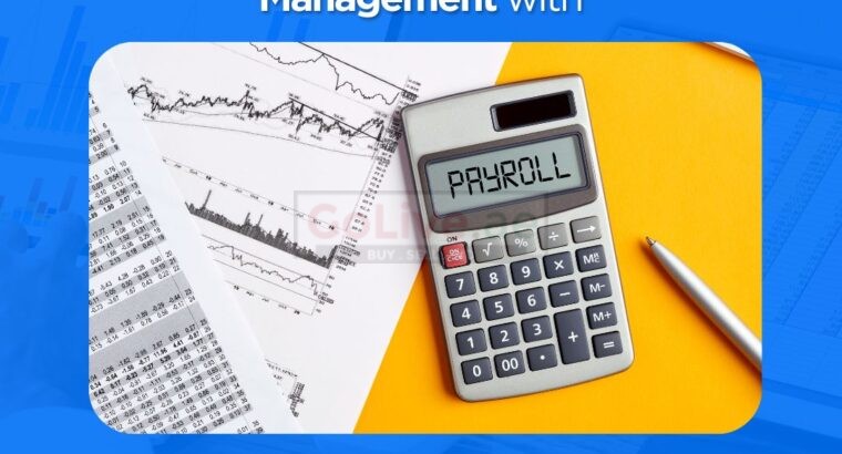 HR & Payroll System Dubai, HRIS Payroll Systems UAE