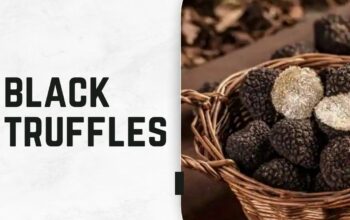 Black Truffles – The Luxury Food Experience