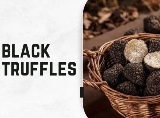 Black Truffles – The Luxury Food Experience