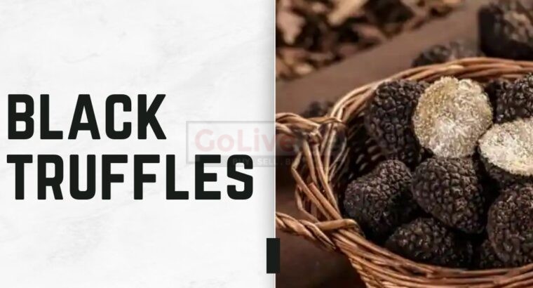 Black Truffles – The Luxury Food Experience