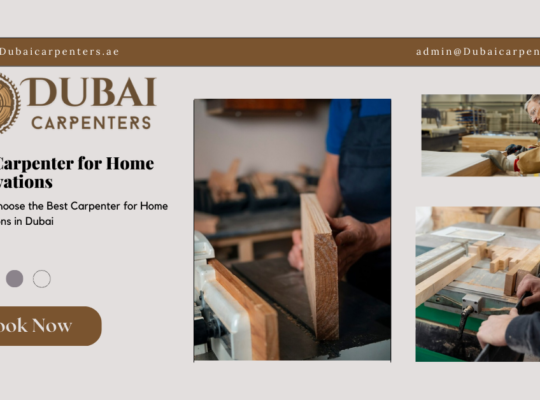 PROFESSIONAL CARPENTER SERVICES