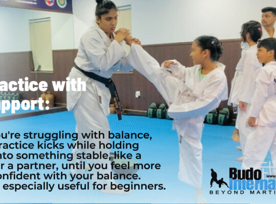 INTERNATIONAL KARATE CENTRE,ROLLA
