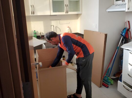 Movers Al AIn