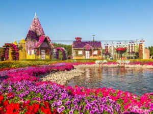 Discover the Beauty of Dubai Miracle Garden