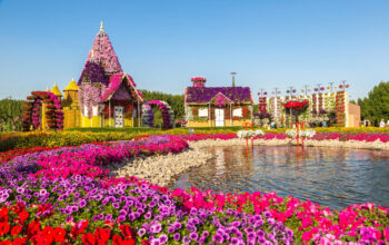 Discover the Beauty of Dubai Miracle Garden