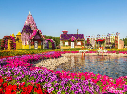 Discover the Beauty of Dubai Miracle Garden