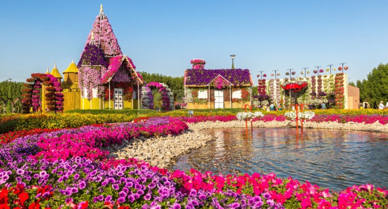 Discover the Beauty of Dubai Miracle Garden