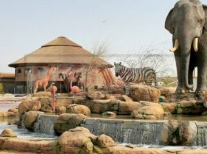 dubai jungle safari