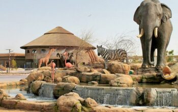 dubai jungle safari