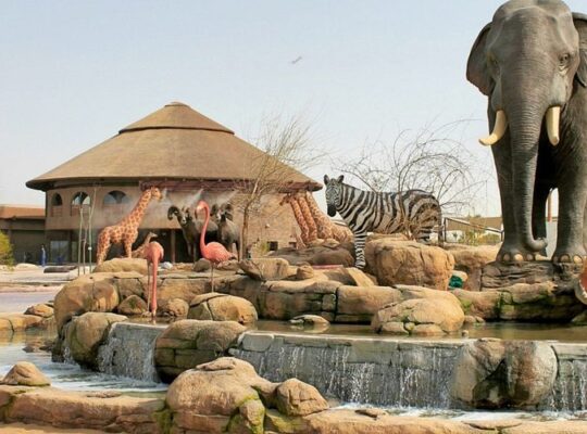 dubai jungle safari