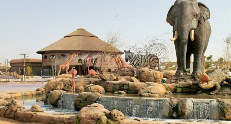 dubai jungle safari
