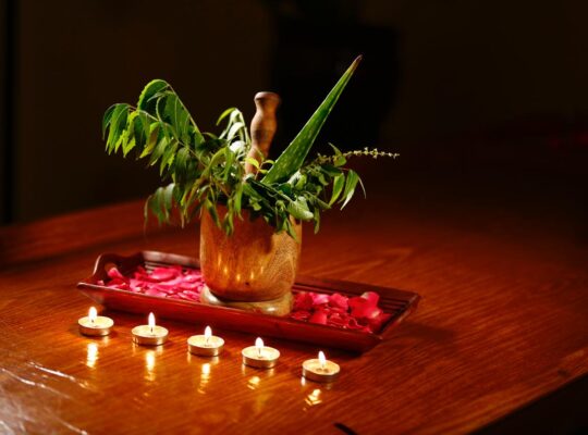 Postnatal Care in Sharjah I Meznah Ayurvedic Clinic