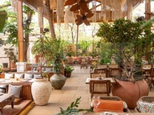 Natural thatch ceiling panels in UAE ( Natural thatch ceiling panels in Palm Jebel Ali Dubai )