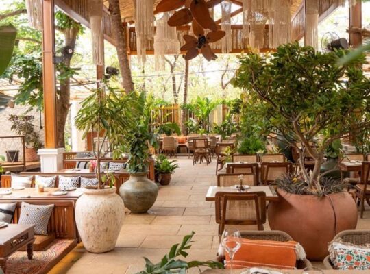Natural thatch ceiling panels in UAE ( Natural thatch ceiling panels in Palm Jebel Ali Dubai )
