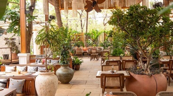 Natural thatch ceiling panels in UAE ( Natural thatch ceiling panels in Palm Jebel Ali Dubai )