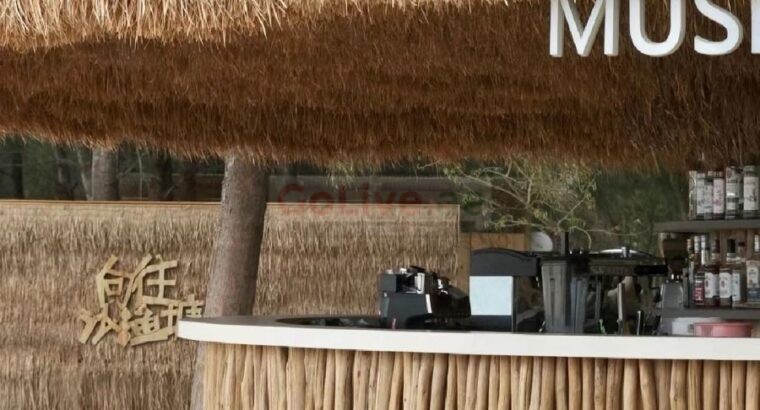 Natural thatch ceiling panels in UAE ( Natural thatch ceiling panels in Al Ras Dubai )