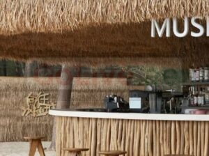 Natural thatch ceiling panels in UAE ( Natural thatch ceiling panels in DIP Dubai )