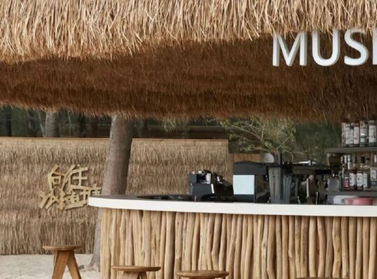 Natural thatch ceiling panels in UAE ( Natural thatch ceiling panels in DIP Dubai )